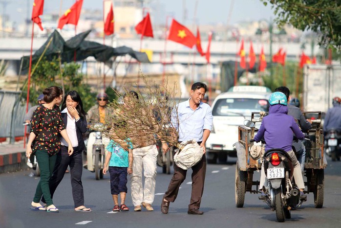 Những chậu mai lớn giá vài triệu đồng. Hoa mai từ lâu đã không thể thiếu trong dịp tết của người miền Nam. Nhiều người có thể chọn các bình hoa nhỏ để tiết kiệm