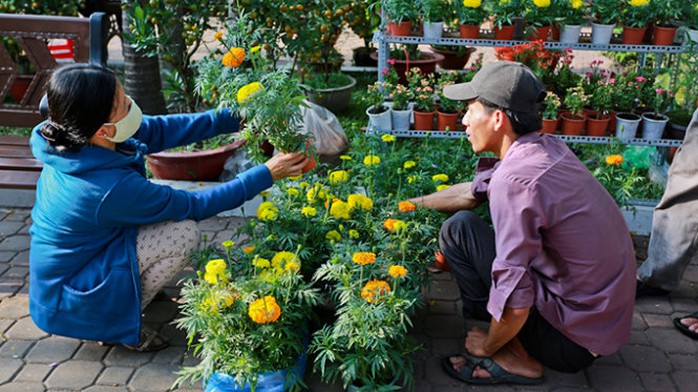 Anh Nguyễn Văn Hoàng bán 5.000 đồng/chậu hoa cúc vạn thọ, nhưng khách vẫn chọn lên chọn xuống - Ảnh: Tiến Thành