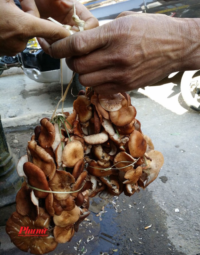 Nấm hương Sa Pa rất ngon