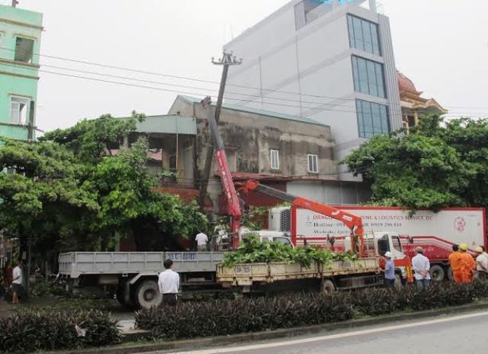 Hiện trường vụ tai nạn xe đầu kéo đâm gãy cột điện, bất gốc 1 cây bàng to