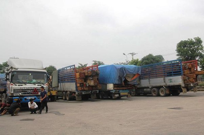 Một đoàn xe tải chở gỗ từ Lào về Việt Nam bị lực lượng TTGT Nghệ An bắt giữ.
