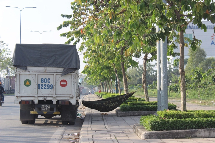 Các tài xế mệt mỏi, bỏ vô lăng tranh thủ mắc võng bên lề đường để chợp mắt, chờ hết kẹt xe