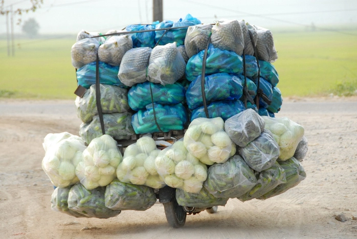 Những chiếc xe gắn máy của thương lái Campuchia sang Việt Nam mua nông sản rồi “cổng” về như thế này mỗi chuyến từ 500 -700 kg các loại củ, quả.