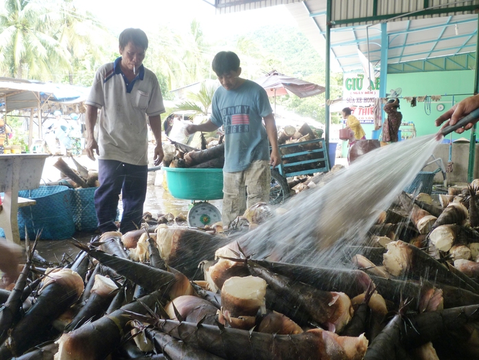 Sơ chế măng trước khi đem đi tiêu thụ tại các chợ đầu mối ở ĐBSCL và TP HCM