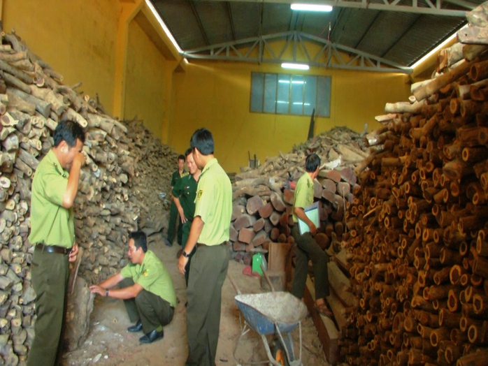 Kho gỗ không rõ nguồn gốc được lực lượng chức năng phát hiện ở trung tâm TP Cam Ranh