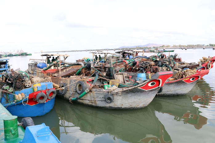 Các phương tiện khai thác cát trái phép được đưa về neo đậu tại cảng Hà LộcẢnh: TTXVN