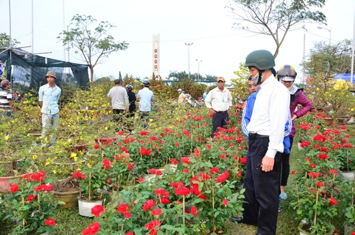 Hoa hồng cũng được nhiều người ưa chuộng với giá khá mềm từ 100 ngàn/ 1 chậu