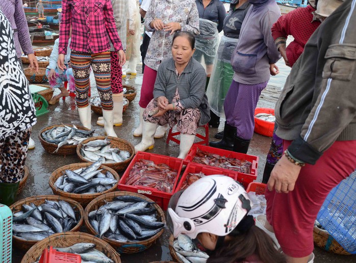 Phân loại và thu mua ngay tại cảng cá
