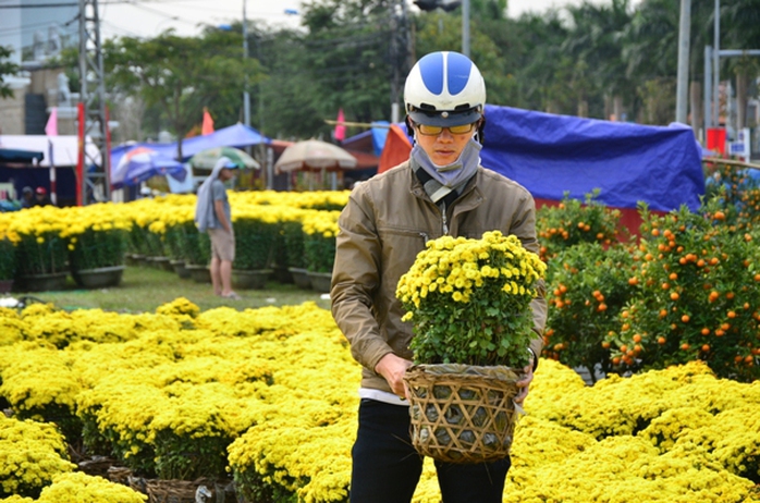 Cúc mâm xôi từ Sa Đéc (Đồng Tháp) cũng có mặt tại chợ hoa Đà Nẵng với giá 100 ngàn đồng 1 giỏ