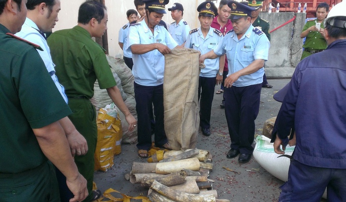 Cơ quan chức năng đang kiểm tra các bao tải chứa ngà voi tại cảng Tiên Sa chiều 25-8