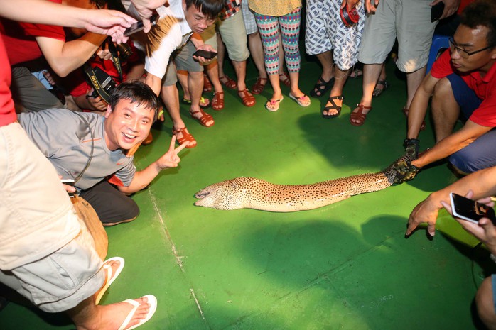 Chú chình bông hơn 12 kg