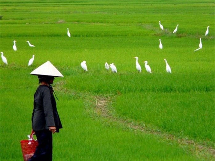 Trước khi đi má có nghĩ đến tình cảnh của bà cháu tôi không và nếu đã quyết sao không tiếp tục đi trên con đường mình đã chọn?