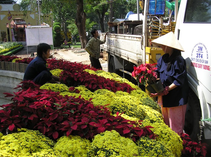 Công nhân bắt đầu sắp xếp hoa nền trong công viên Tao Đàn