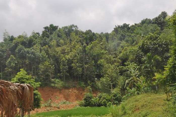 Khu vực đồi cây rậm rạp tại thôn 2, xã Khánh Hòa, huyện Lục Yên (tỉnh Yên Bái), nơi bắt được 2 đối tượng lẩn trốn