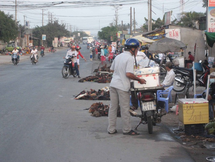 Gà trống sống được bán thành một dãy dài trước chợ Bà Bộ