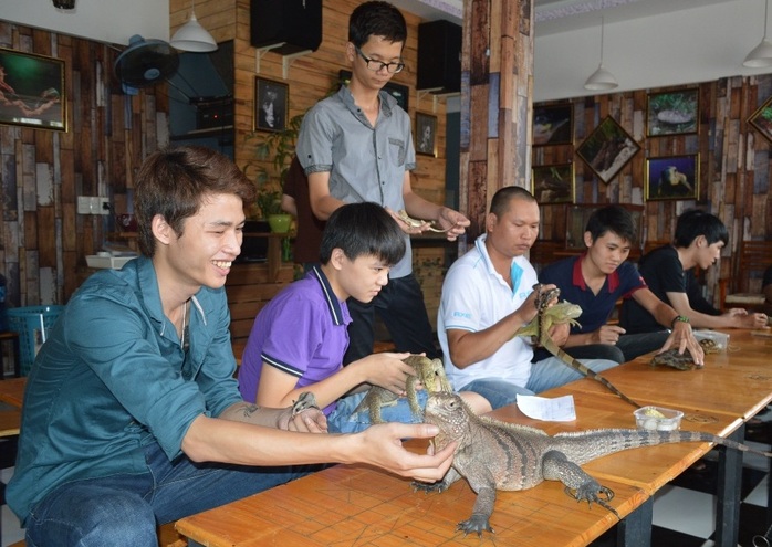 Phong trào chơi bò sát - thú cưng đang phát triển mạnh ở Buôn Ma Thuột