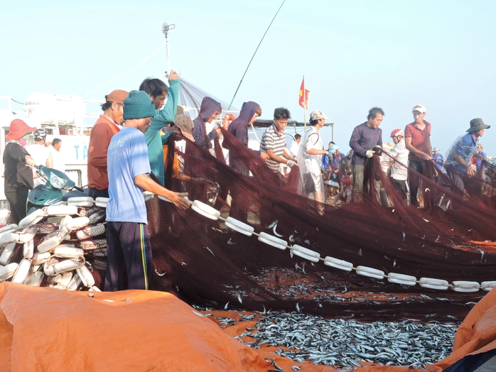 Tàu cá của ngư dân Nguyễn Văn Tri cập đảo sau một đêm bám biển, bám ngư trường ven đảo.