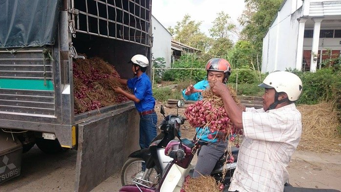 Lực lượng Đoàn viên, thanh niên Sóc Trăng tham gia bán hành trực tiếp cho người tiêu dùng