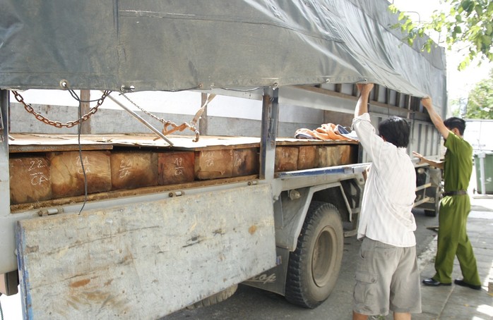 Số gỗ lậu được Tuấn ngụy trang một cách tinh vi Ảnh: Hoài Sa