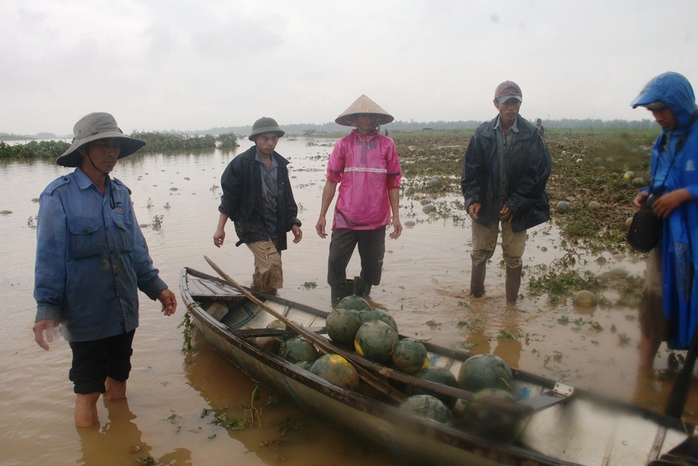 Dưa hấu được đưa lên ghe chở về nhà