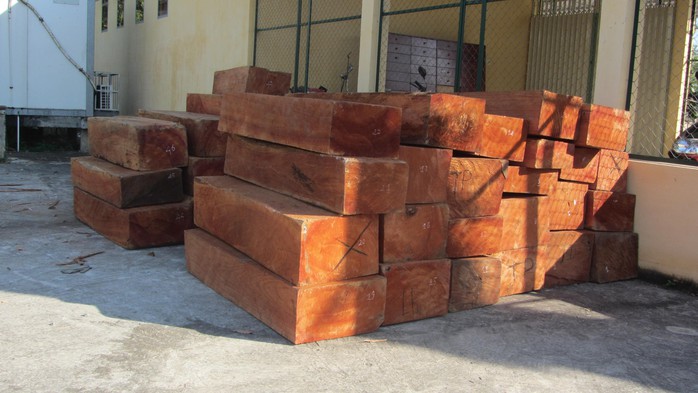 Số gỗ tang vật đang được giữ tại công an huyện Hàm Tân.