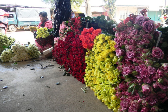 Hoa hồng Đà Lạt vẫn là mặt hàng chủ lực vào các dịp lễ.