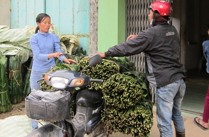 Lá dong rừng đang được thương lái thu mua vận chuyển về xuôi tiêu thụ