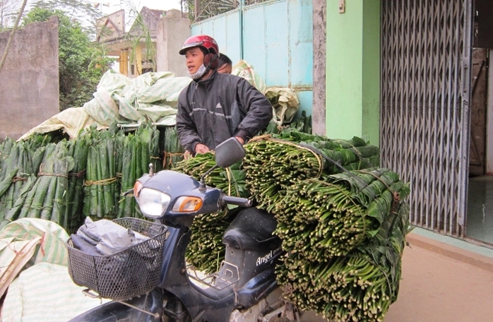 Mỗi một bó lá dong 100 lá được bán với giá 60.000 đồng