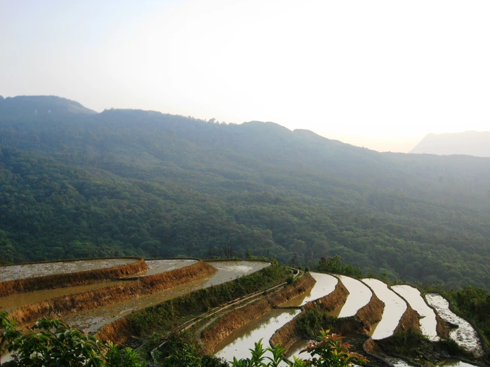 Ruộng bậc thang Y Tý mùa gieo hạt