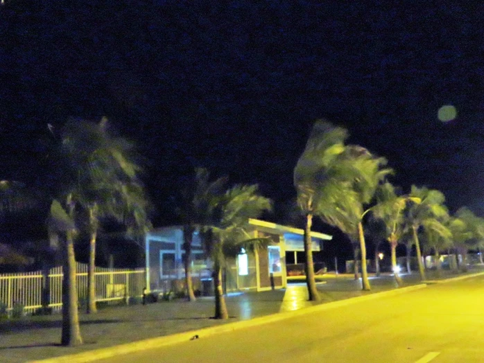 cây cối ở đảo Tuần Châu (Quảng Ninh) ngả nghiên vì gió mạnh