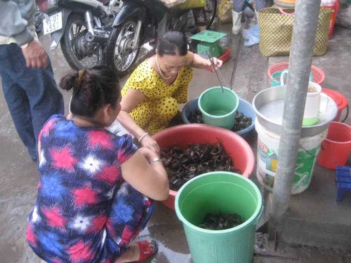 Do khan hiếm nên ngày càng có nhiều người tìm mua cua đồng ở chợ