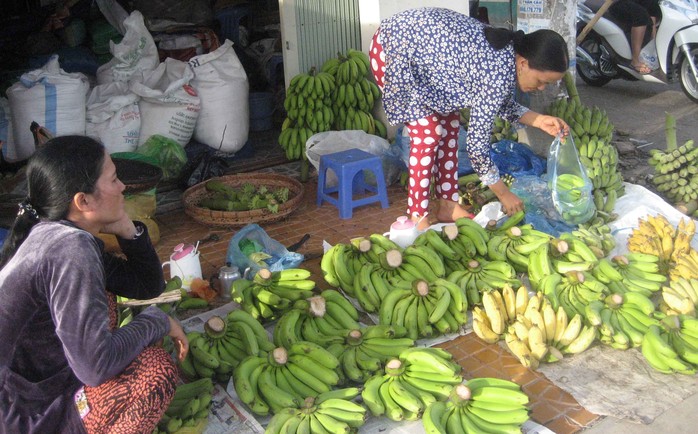 Người tiêu dùng đang chọn mua những nải chuối có kích cỡ vừa phải