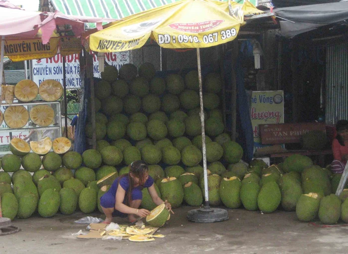 Một điểm bán mít vắng tanh khách hàng