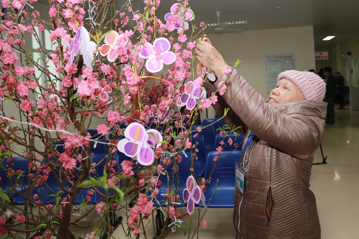 Trang trí cành đào tết