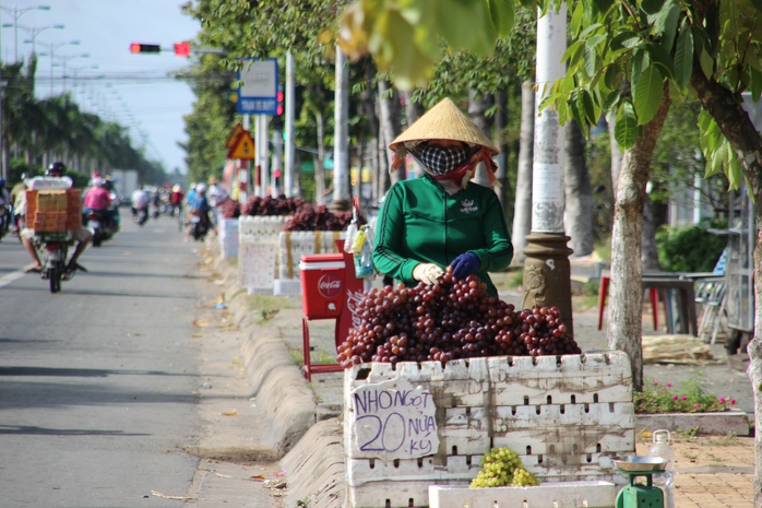 Giá nho bán ở lề đường chỉ từ 25.000-40.000 đồng/kg, thấp hơn nhiều lần so với nho Mỹ thật