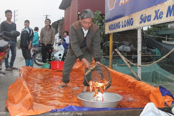 Cá chép tiễn ông Công, ông Táo về trời ở  làng Tân Cổ, xã Quảng Tân.