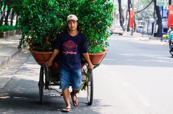 Mấy ngày trước, giá một chậu quất khoảng 200.000 đồng nhưng đến hôm nay chỉ còn 100.000 đồng/chậu.