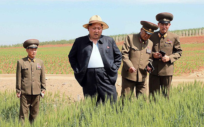 North Korean leader Kim Jong-un looks at some wheat during a visit to a seed research farm operated by the North Korean Peoples Army. 
