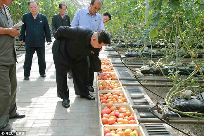 A source inside North Korea said under order by Jong-un scientists with impeccable credentials spend minutes inspected each lettuce leaf for signs of germs before is reaches the plate of the dictator