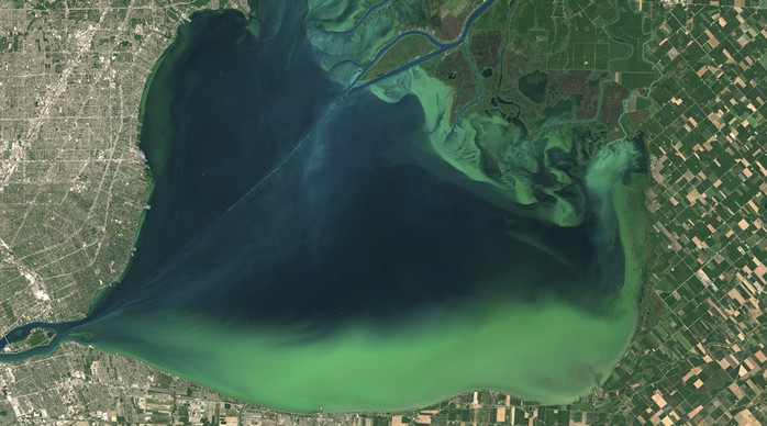 Algal blooms visible as swirls of green are seen in Lake St. Clair, on the border of Michigan and Ontario, Canada, in a NASA Landsat 8 satellite image taken July 28, 2015.  Picture taken July 28, 2015. © NASA