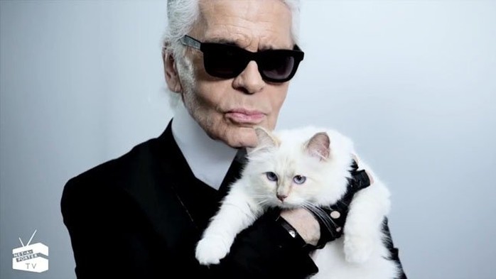 Mèo của nhà thiết kế Karl Lagerfeld được nhiều hợp đồng quảng cáo