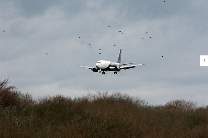 nguồn tin hàng không Nga cho biết một động cơ trên chiếc Boeing 737 bị hư hại. Ảnh: Independent