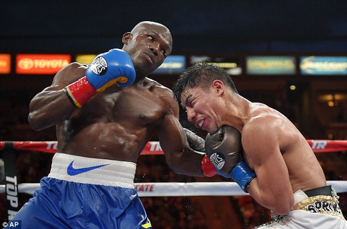 Võ sĩ Timothy Bradley Jr (trái) sẽ chiếm đai vô địch thế giới hạng bán trung từ tay Maweather