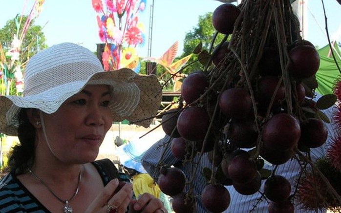Màu tím đặc biệt của nhãn đã thu hút sự tò mò của dư luận. Màu tím đặc biệt của nhãn đã thu hút sự tò mò của dư luận.