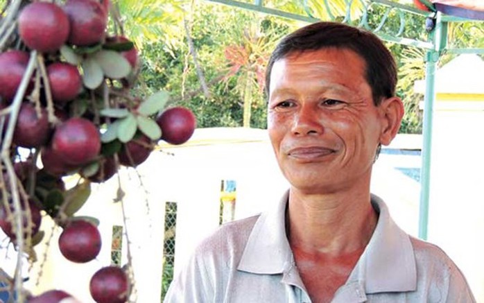 Giống nhãn này đang được nhân rộng ra nhiều khu vực khác. Giống nhãn này đang được nhân rộng ra nhiều khu vực khác.