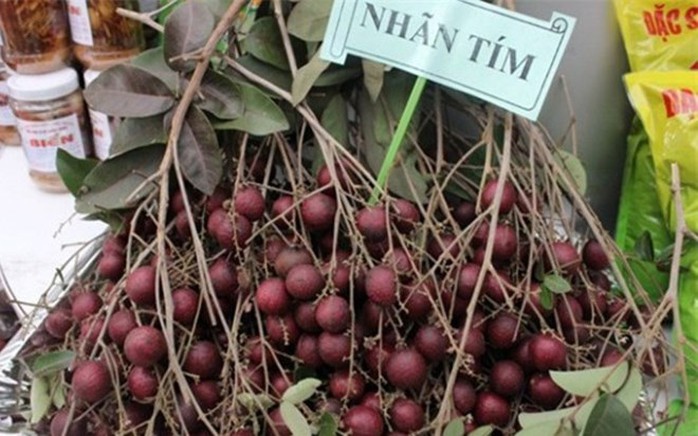 Quả nhãn có màu tím ngắt như chùm nho. Quả nhãn có màu tím ngắt như chùm nho.