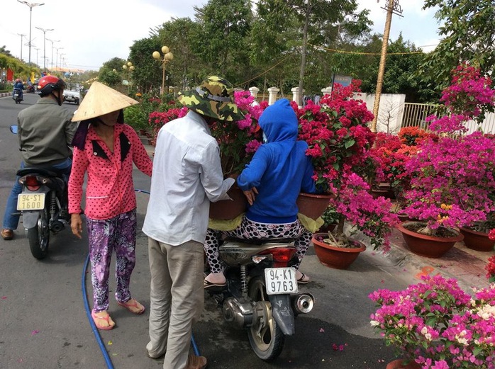 Họ chọn mua mang về chưng Tết