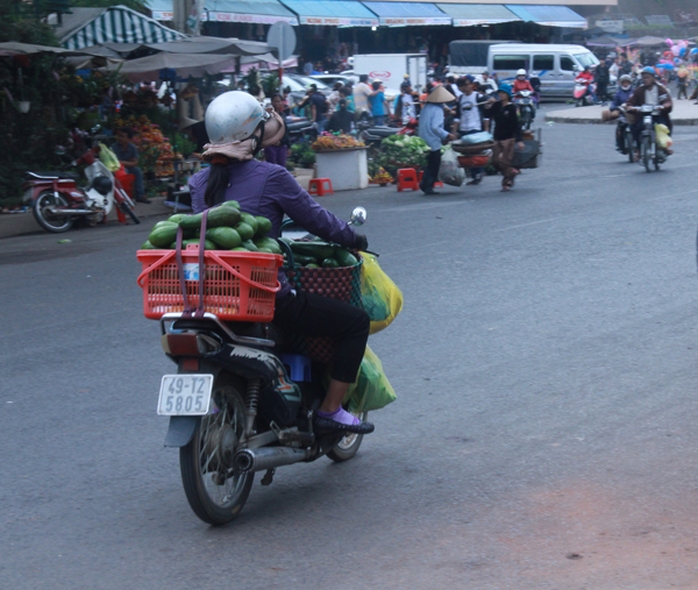 Các tiểu thương mang bơ ra chợ Đà Lạt bán lẻ