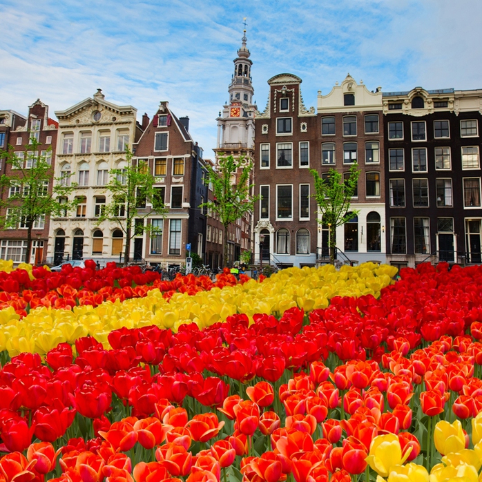 Những tòa nhà trăm tuổi ở Amsterdam rực rỡ trong sắc hoa của lễ hội Keukenhof