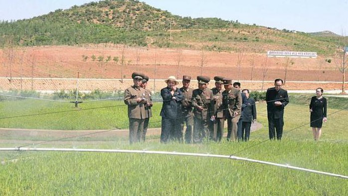 Lãnh đạo Triều Tiên Kim Jong-un đang hướng dẫn tại một khu vực trồng lương thực của quân đội. Ảnh: Reuters